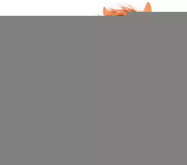 -photobooth anniversaire - photobooth baptême - photobooth Cergy - photobooth Corbeil-Essonnes - photobooth entreprise Paris - photobooth EVJF Paris - photobooth Île-de-France - photobooth mariage Paris - photobooth Melun - photobooth Pontoise - photobooth Yvelines - avis photobooth Paris - réservation photobooth Paris - Photobooth Paris contact - Photobooth Paris partenaires - Photobooth Paris équipe - videobooth 360 Paris-